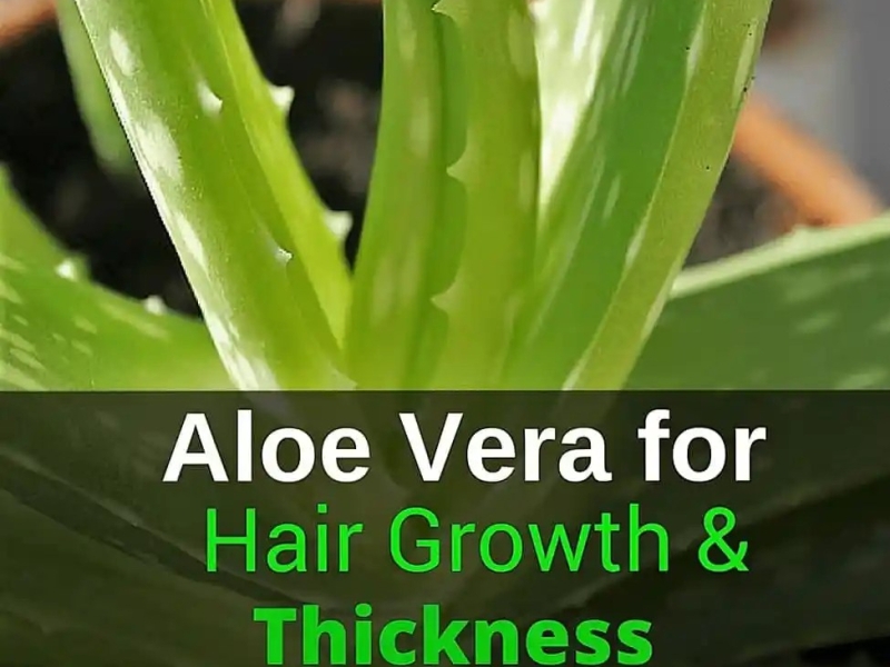 Unlocking the Secret Elixir: The Marvels of Aloe Vera for Your Hair